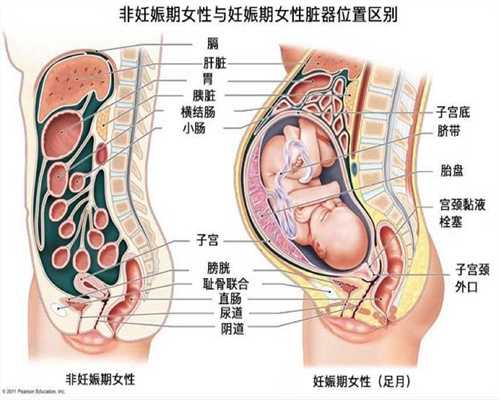 广州供卵试管婴儿费用：胎心监护大概需要多长