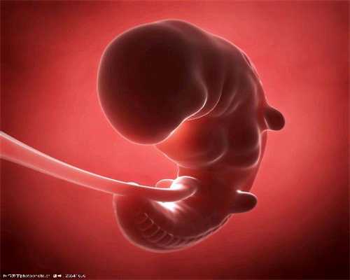 广州地下助孕：胎心怎么数