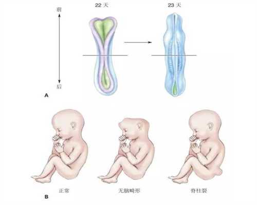 广州代孕成功率_临近分娩胎宝宝都在干嘛为了妈
