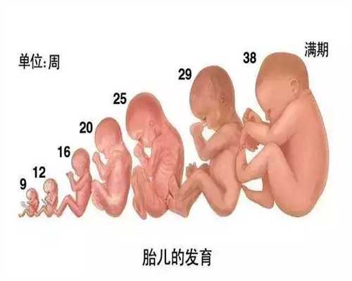 广州滨哪里有助孕_吃儿童益生菌看不到效果 有可