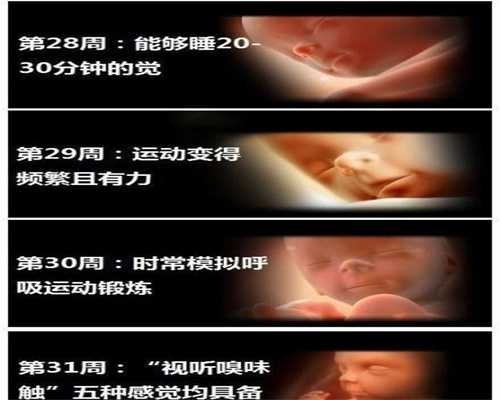 广州代孕中心_为什么选择千趣会日系婴儿服装
