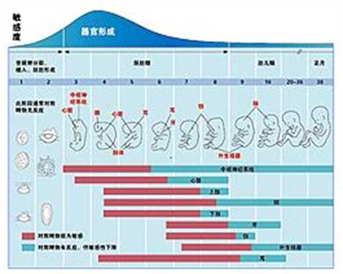 <b>广州代孕多少钱_在潜伏期共用洗衣机会不会感染</b>