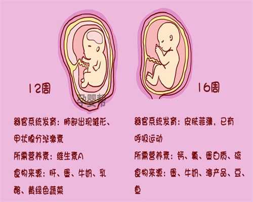 广州代孕中介_孕5个月能听胎教音乐吗 音乐胎教