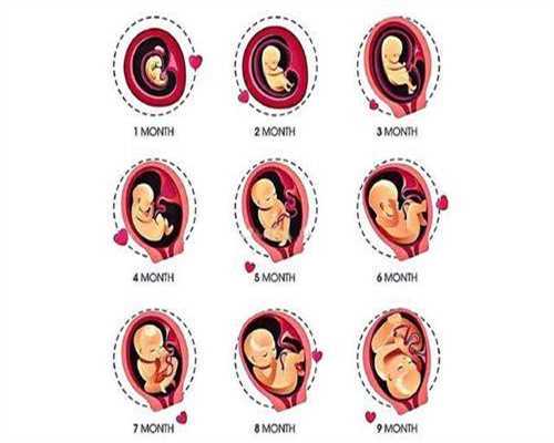 广州代孕公司_孕妇从几个月开始胎教 胎教的开始