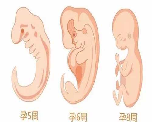 广州代孕成功率_女性怀孕的预兆表现有