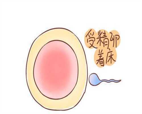 广州代孕孩子价格_怀孕3个月能不能吃萝卜