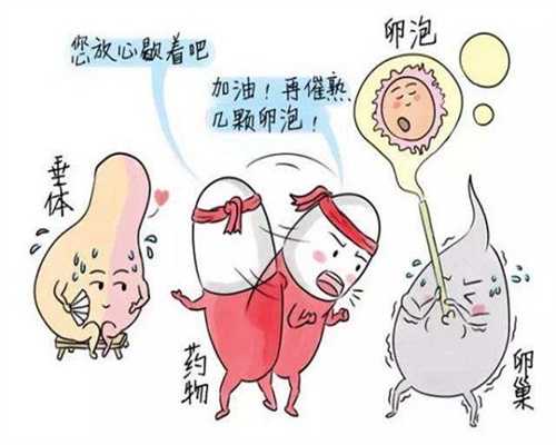 广州正规机构代孕孩子_胎停育一次再次怀孕会不会再胎停