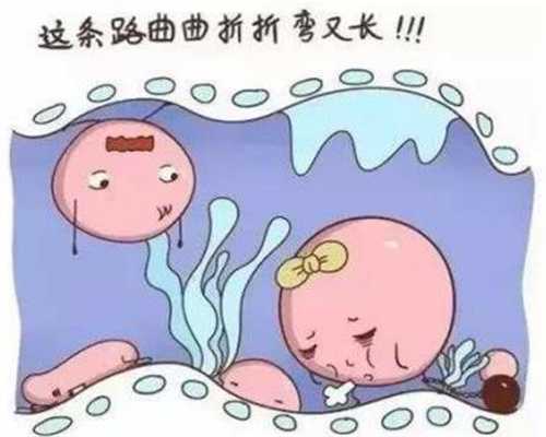 广州代孕中介公司_孕晚期能吃冷面吗