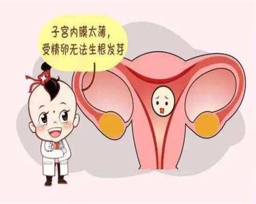 广州代孕产子费用_孕妇到底能不能吃龙虾