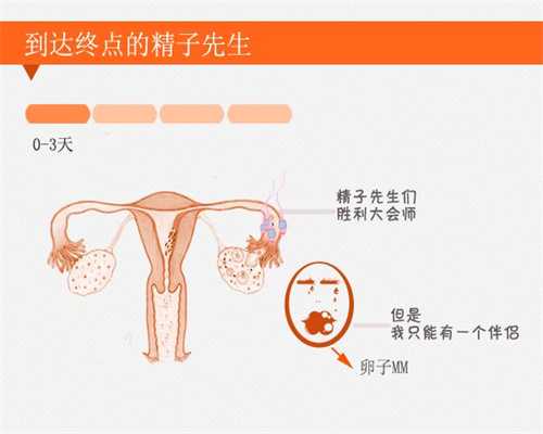 广州代生双胞胎微信_老年人夏季健康养生如何做