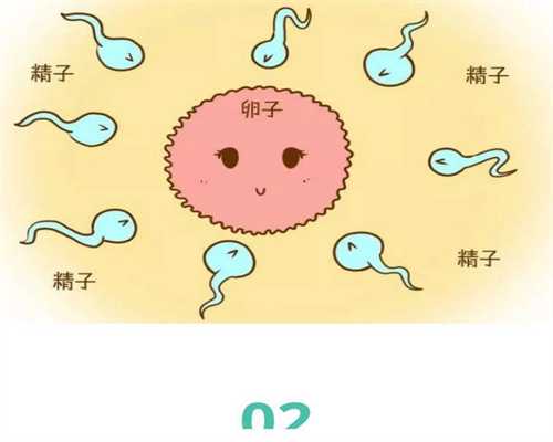 广州代孕包性别_怀孕37周胎盘2级的简介