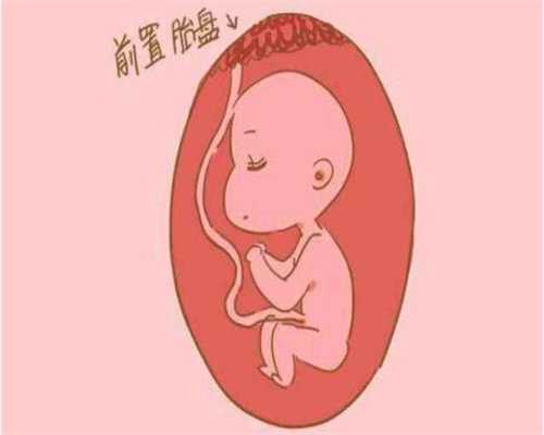广州找代孕女需多少钱_孕妇能不能吃大薯
