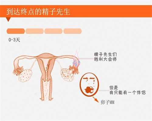 广州合法代孕需要多少钱_孕妇可以用身体乳吗