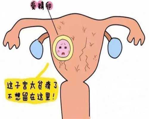 广州代孕试管，广州代妈最新价格，如果要找广州供卵不排队
