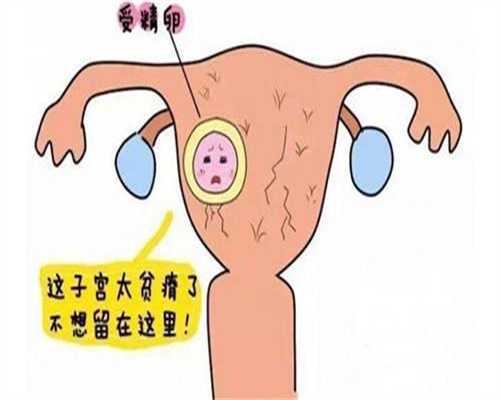 广州代孕报价,广州助孕试管,广州高鹰代孕费用问题
