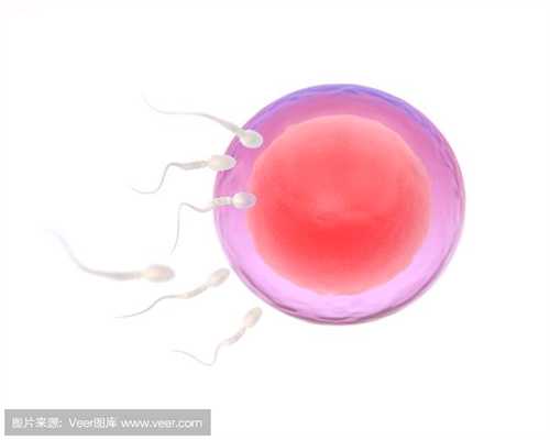 广州代孕试管，广州试管代孕的优点，广州借卵子移植的成功率