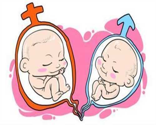 广州代孕协议，广州去试管专业吗，fl是胎儿的什么地方