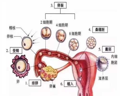 广州代生男孩`广州助孕医疗中心`刚怀孕十天有什么症状