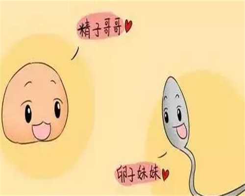广州代孕价格,广州想找人代孕,广州代孕网站是真的吗