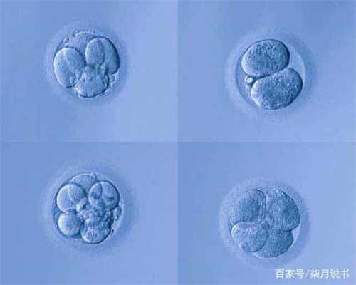 广州代孕妈妈-广州找人代孕经历-广州代孕包成功哪家好