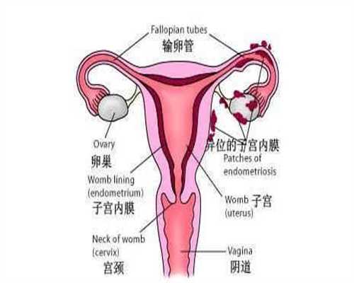 广州代孕一对一咨询_代孕孩子价格联系方式_找人代孕孩子