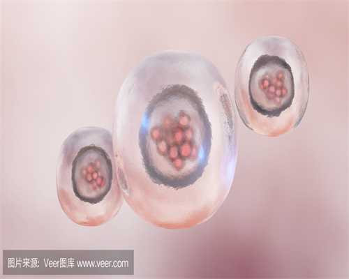 胚胎:试管婴儿满足条件